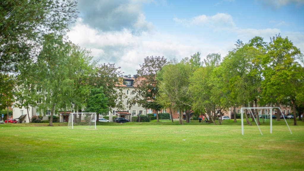 Grön gräsmatta med två fotbollsmål