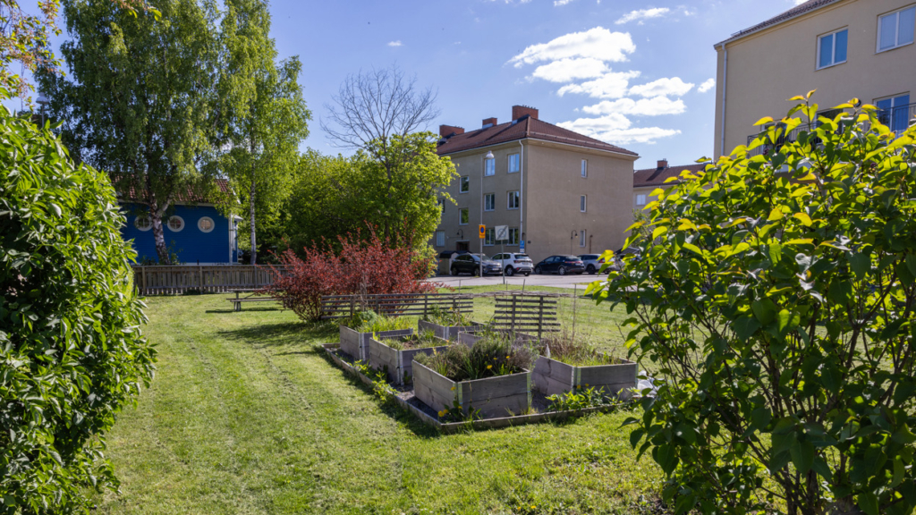 Innergården på studentboendet Assessorn. I bilden syns pallkragar och buskar.